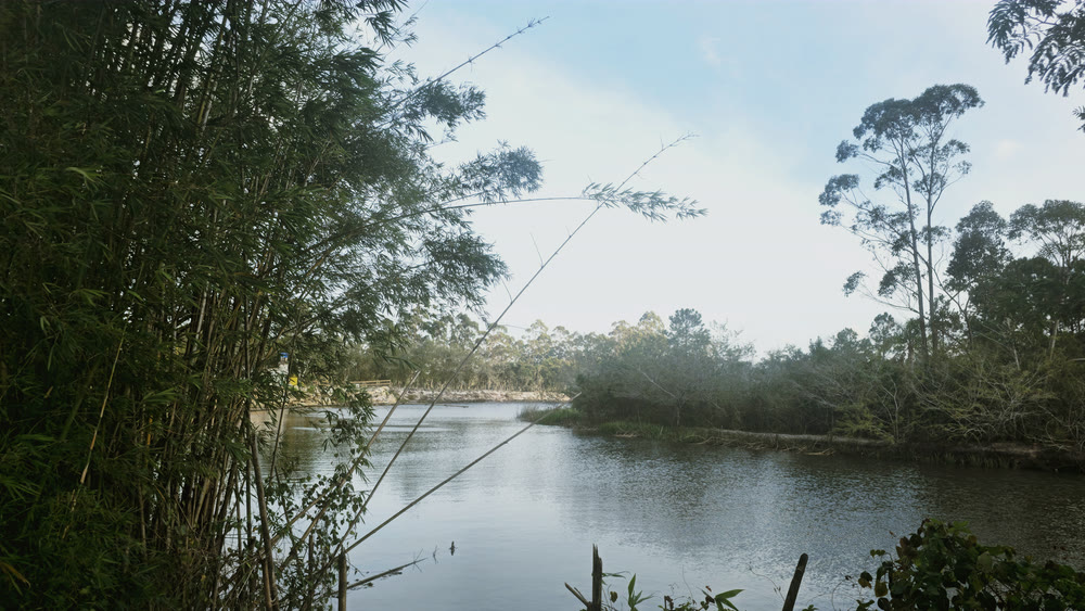 Rio da Madre entre a mata, na Guarda do Embaú, perto da Pousada Capricórnio