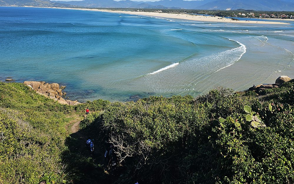 Praia da Guarda do Embaú vista do costão, com o mar esverdeado e a vila ao fundo